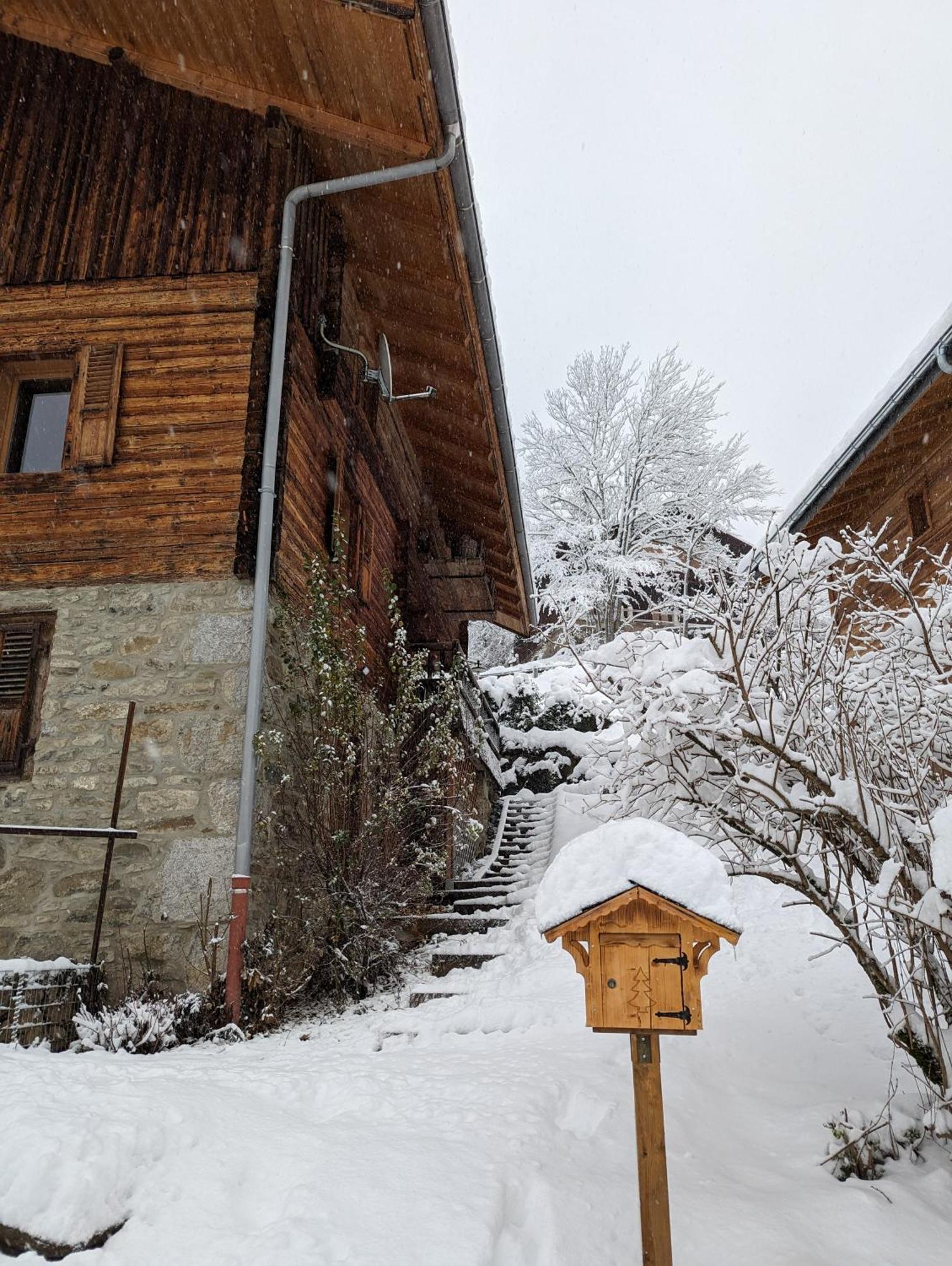 Bas De Chalet Au Coeur Des Aravis, Entre Lac Et Montagne Saint-Jean-de-Sixt Eksteriør billede